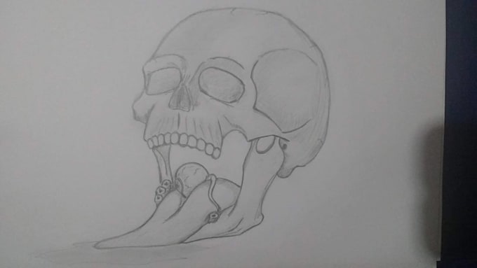 do you want a drawing made with graphite pencil