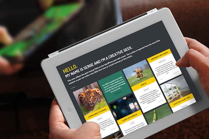 install your wordpress theme and demo