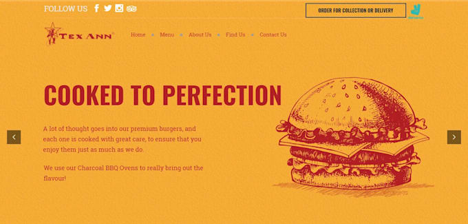 design and develop wordpress websites