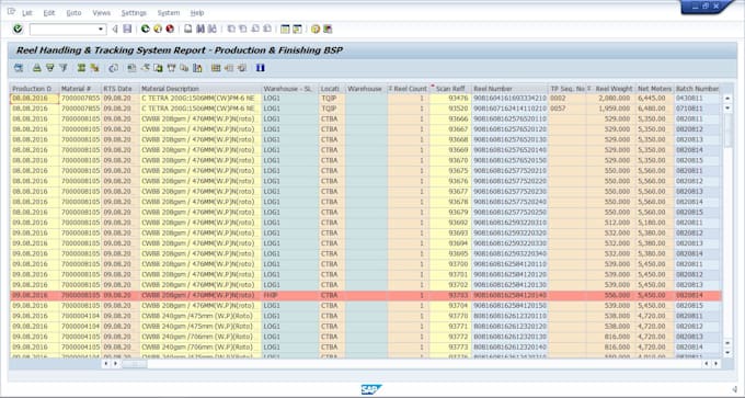do sap abap development and provide sap consultation