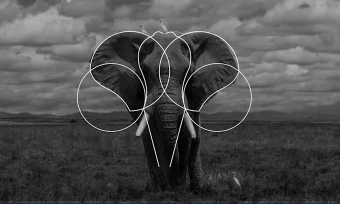design modern, abstract, and versatile logo that are stunning and memorable