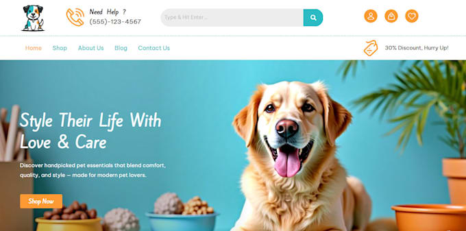 sky rocket your income with amazon affiliate website