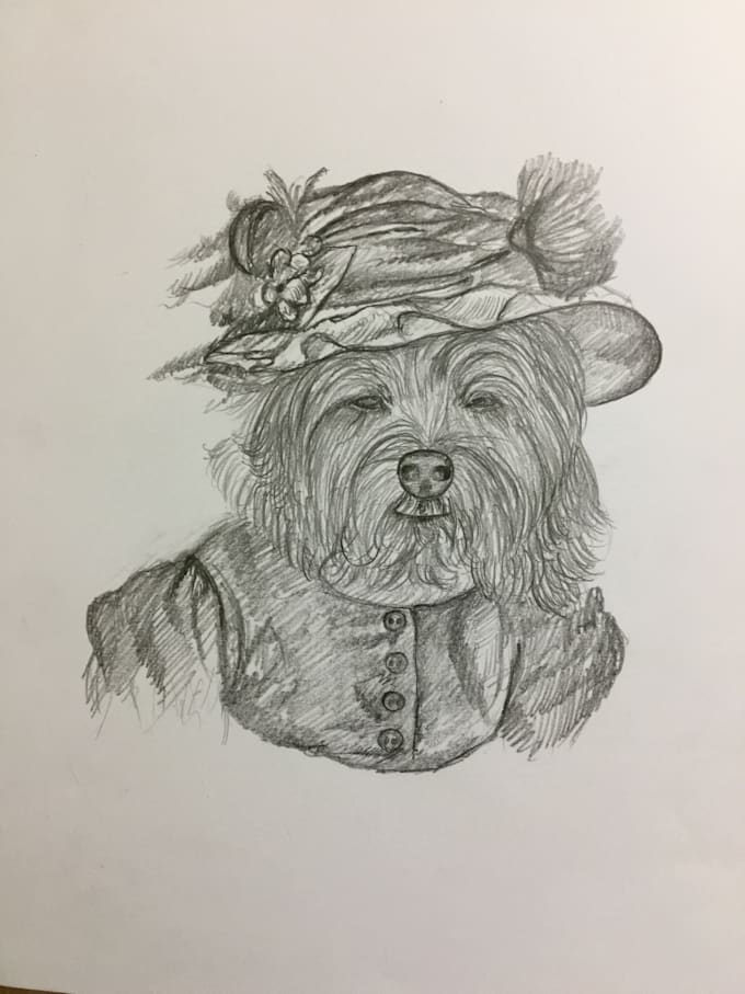 Draw your pet in pencil by Rabiabatool Fiverr