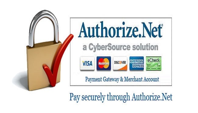 integrate authorize dot net payment gateway on your website
