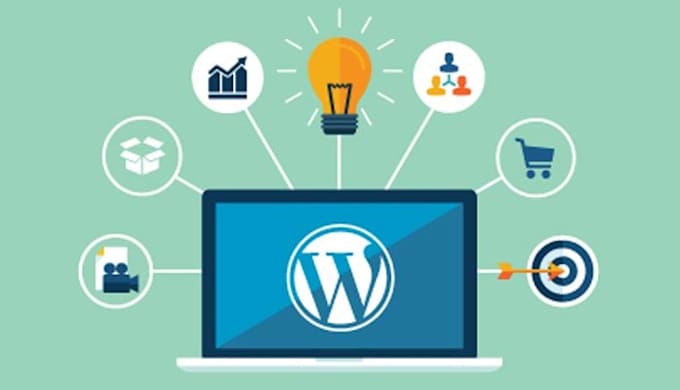 develop custom business wordpress website