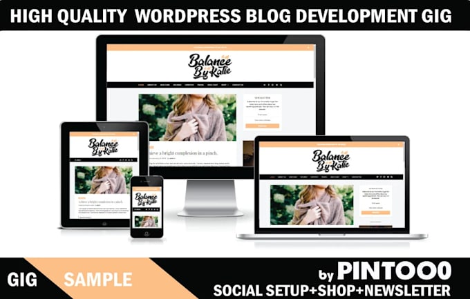 design or develop pro wordpress blog website