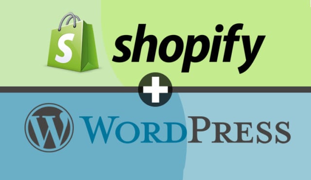 setup and install wordpress or shopify store
