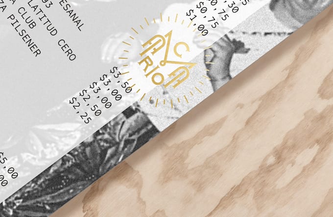 design a professional menu for you
