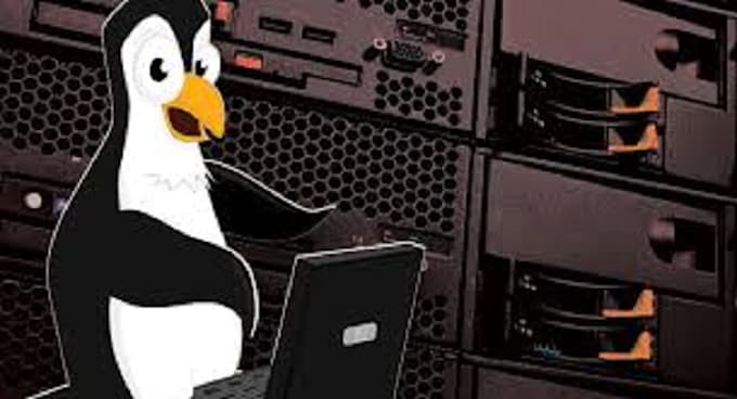 setup linux server, cpanel, apache, lightspeed, server optimization and security