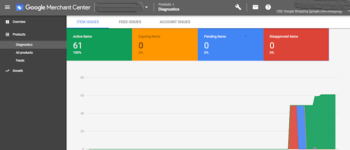 set up complete google shopping campaign for your store
