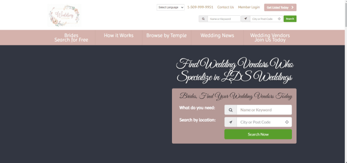 fix any errors, design and setup brilliant directory website