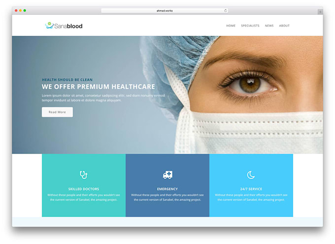 develop wordpress websites in low budget