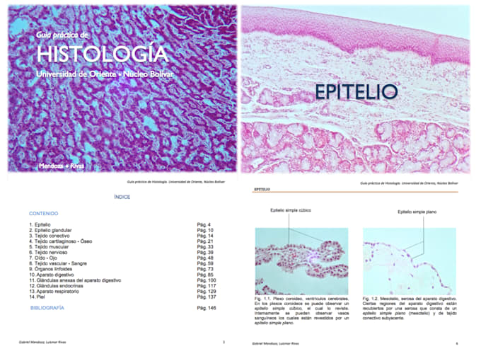 sell a histology atlas like study guide in spanish