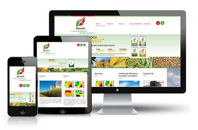 build professional eye catching website in 24 hours