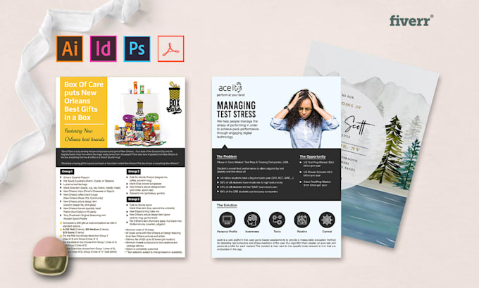 do professional business flyer and brochure design