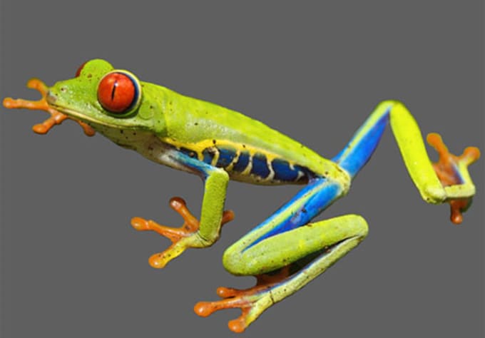 remove Complex Background from Image