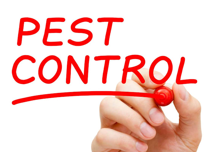 post your article to my pest control website