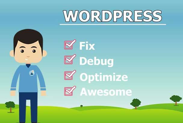 fix any wordpress issue