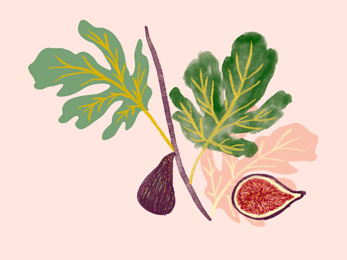 create visually rich and meaningful illustrations
