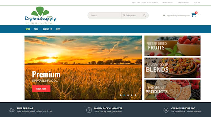 build an ecommerce wordpress website for your business