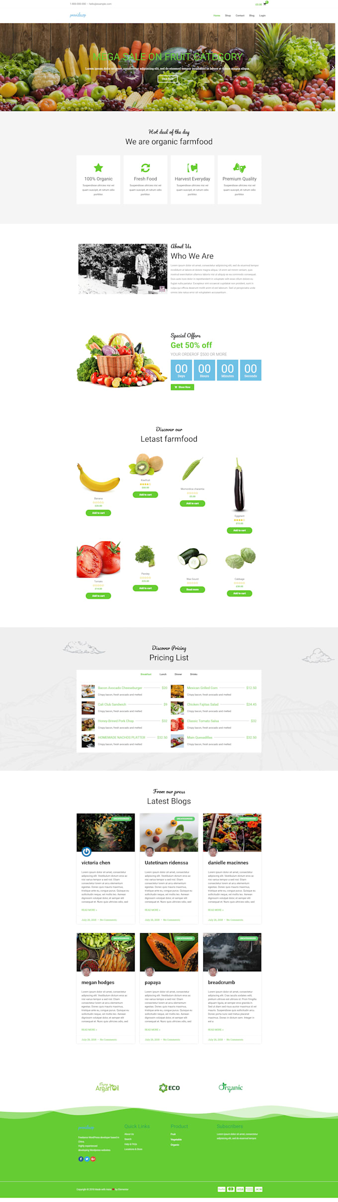design and create a professional wordpress website