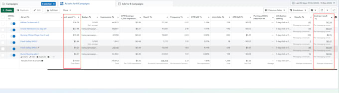 setup and manage facebook ads, conversion with fb pixel