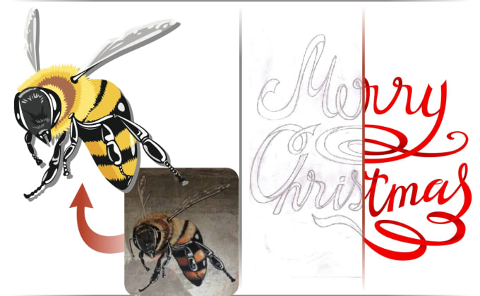 old adobe product that would convert raster to vector old adobe product that would convert raster to vector