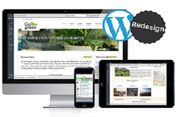 customize, redesign, fix and edit your wordpress website design