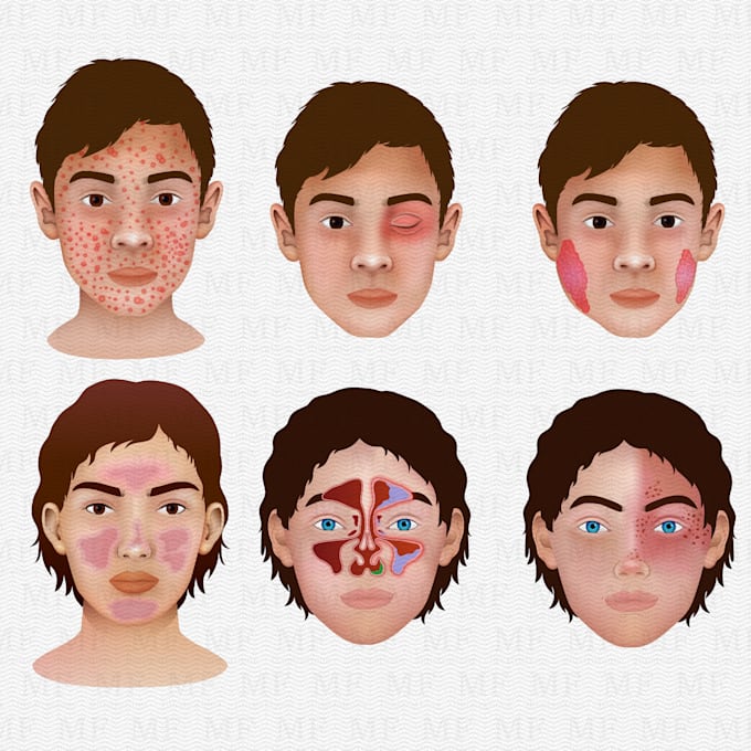 do professional medical, anatomy and scientific illustration