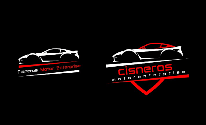 do professional and custom business logo design and branding
