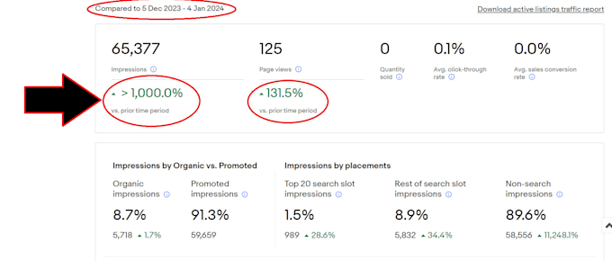 do ebay listing, ebay product listing, ebay lister, ebay SEO