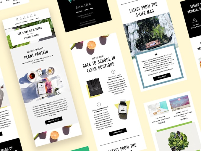 design a professional HTML email template or newsletter