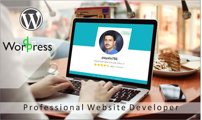 build professional wordpress website