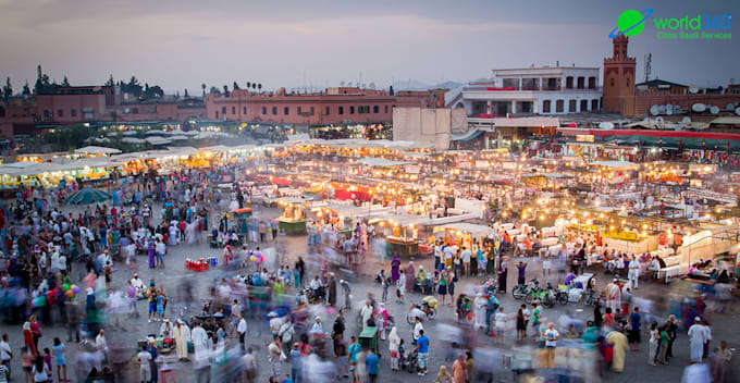 build odoo as a marketplace