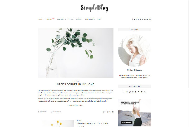 create responsive wordpress blog website