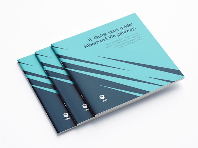 write, edit and design instructional manual for any products