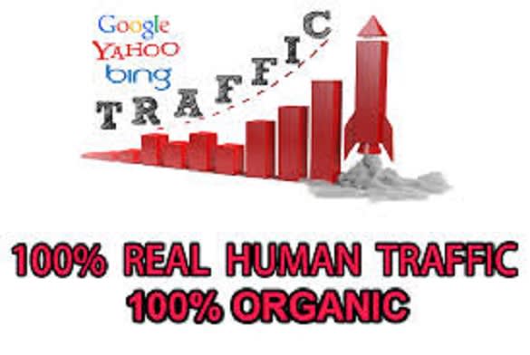 drive unique 10 000 real target USA visitors every day for 1 month