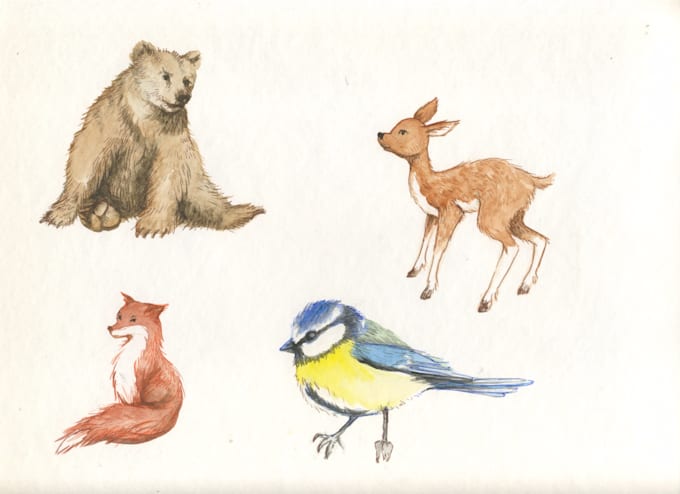 illustrate animals with watercolour