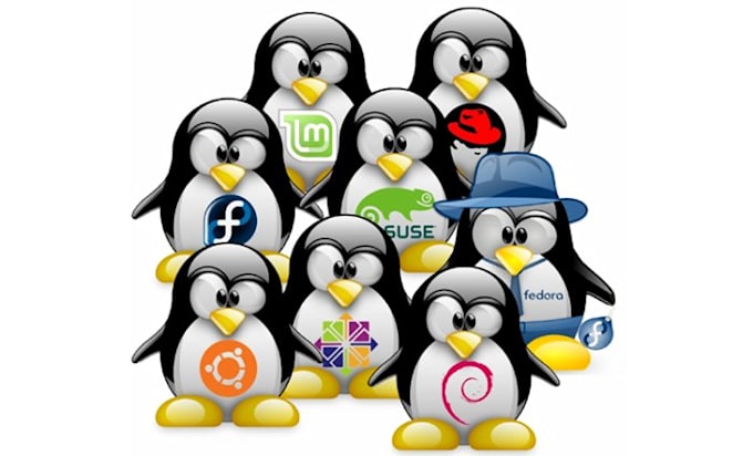 provide any linux system support