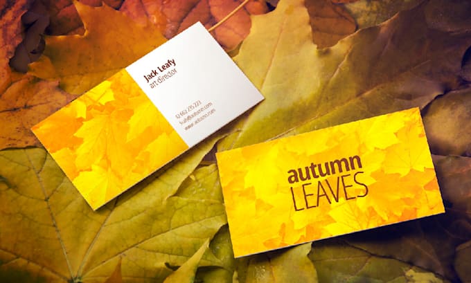 design and redesign business card and documents