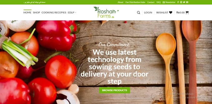 develop a wordpress website design and blog