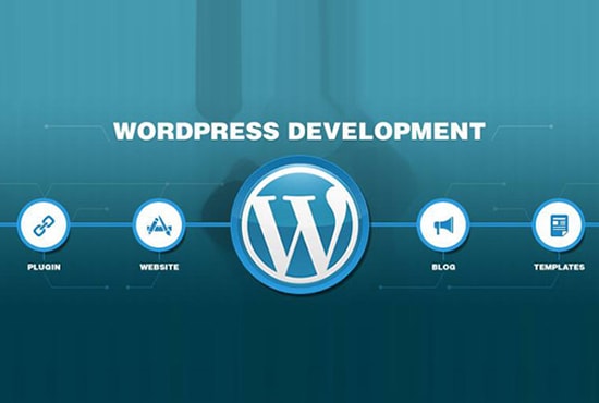build fully optimized  wordpress website with custom features