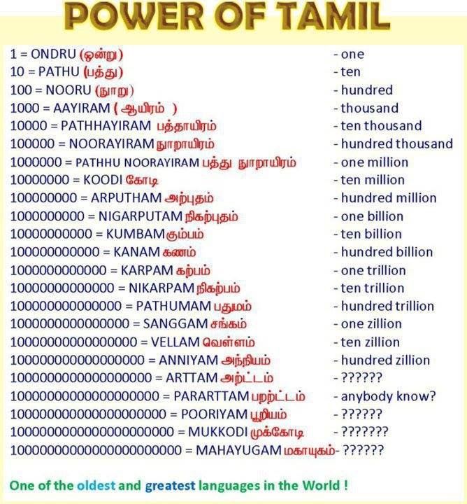 timely manner meaning in tamil