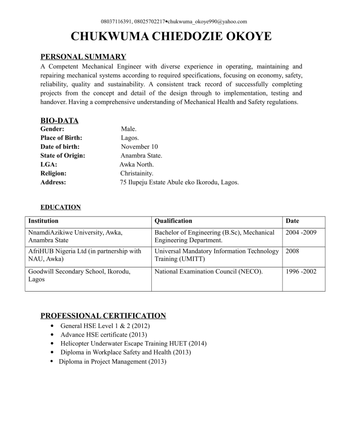 Professional executive resume writing services