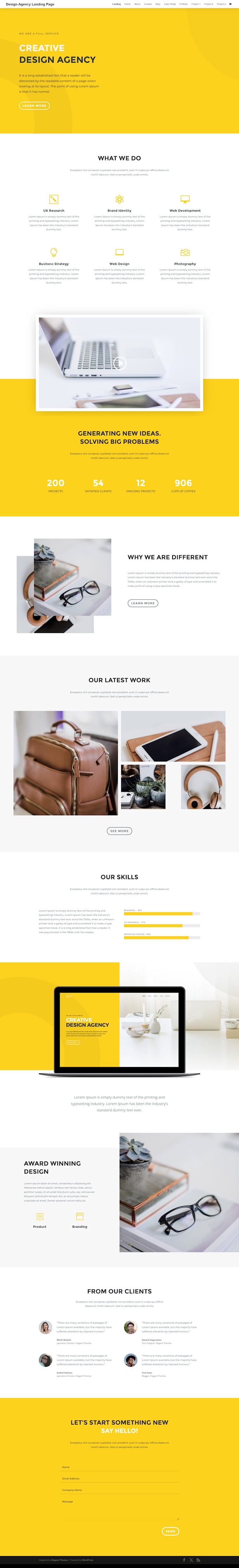 develop a professional divi website with a custom divi theme