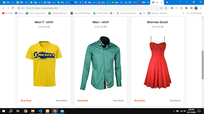 expert web  developer using HTML CSS bootstrap