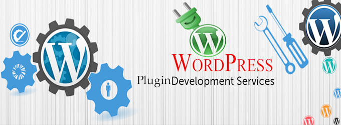 solve wordpress website and wordpress plugin