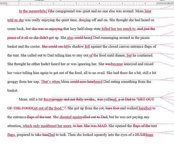 professionally edit and proofread your work