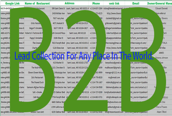 b2b lead generation, data entry, web research, data entry