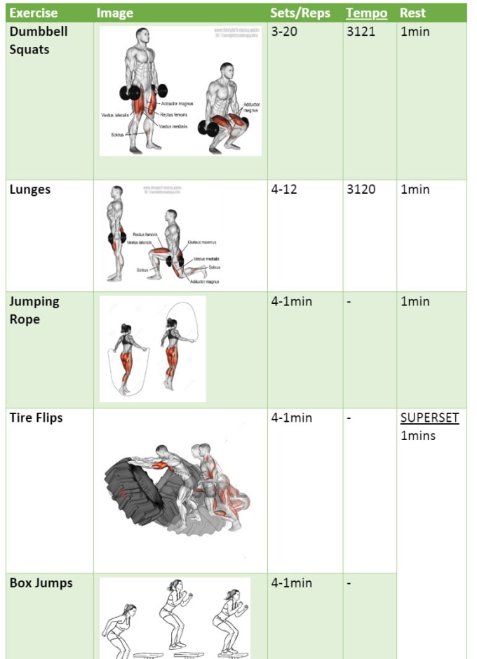Make You A Personalized Workout Program Workout Plan By Habbhar Fiverr
